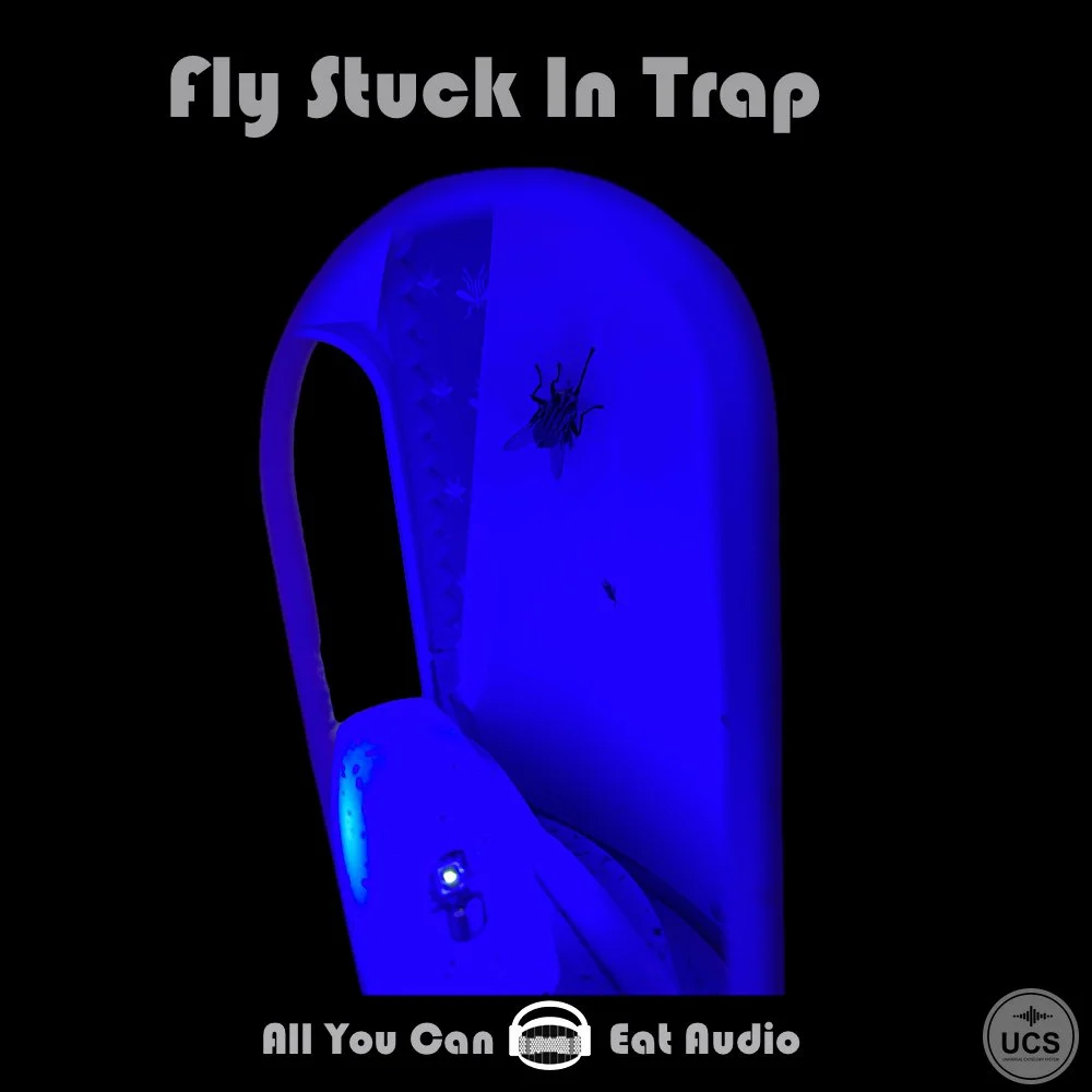 Fly Stuck In Trap_UCS_COVER_AYCEA.jpg