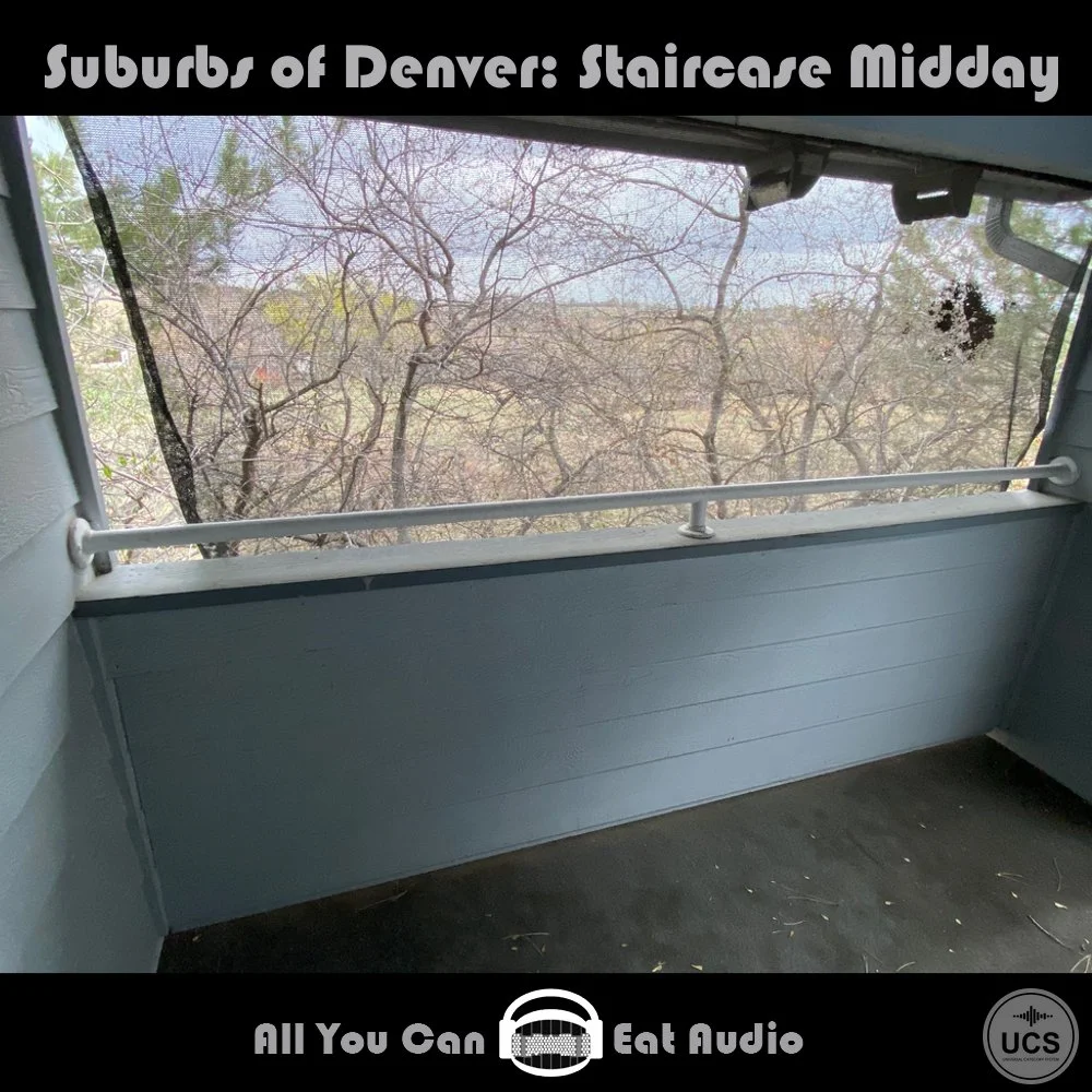 SuburbsofDenver_Staircase Midday_Cover_AYCEA.jpg