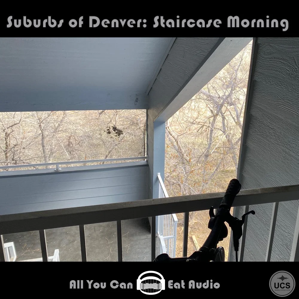 SuburbsofDenver_Staircase Morning_Cover_AYCEA.jpg