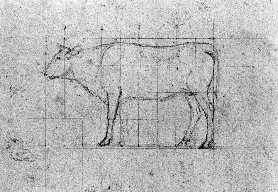 ( Sketch of a cow | Antoine-Louis Barye)