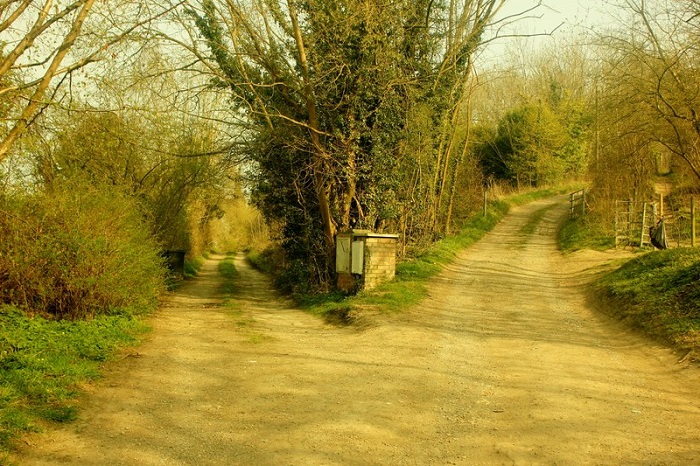 FORK IN THE ROAD BY GRAHAM HALE