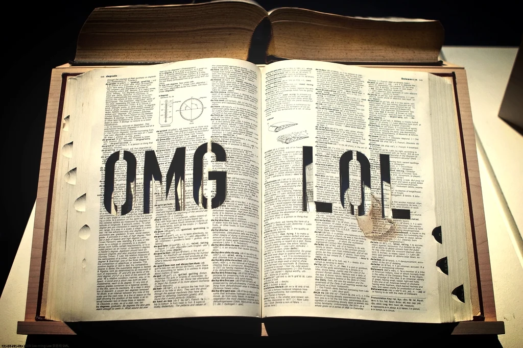 ( OMG LOL by Michael Mandberg | Photo by See-Ming Lee)
