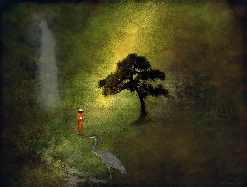 ( "Zen Garden" | Hartwig HKD)