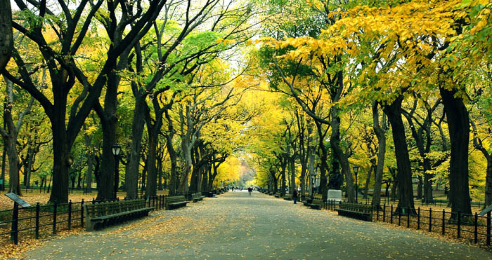 ( Central Park | New York City Department of Parks & Recreation)