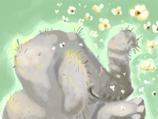 ( Popcorn Elephant | Pondocus)