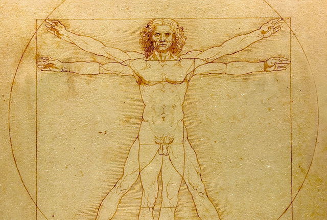 (The Vitruvian Man | Leonardo da Vinci)