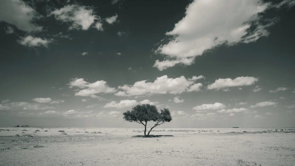 ( Loneliness by Bilal Wirk)