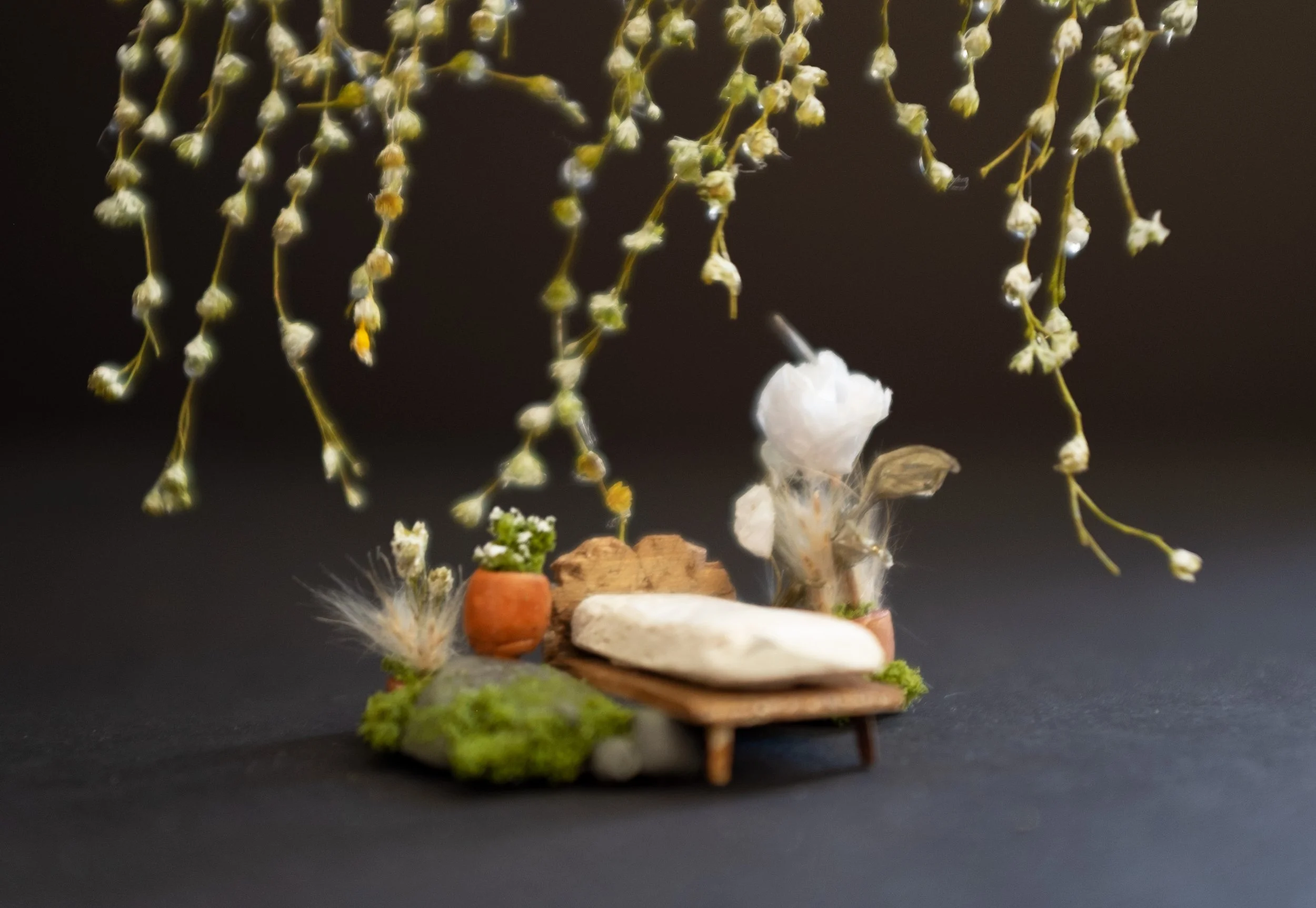  1/4” scale model,  The Rose Elf  