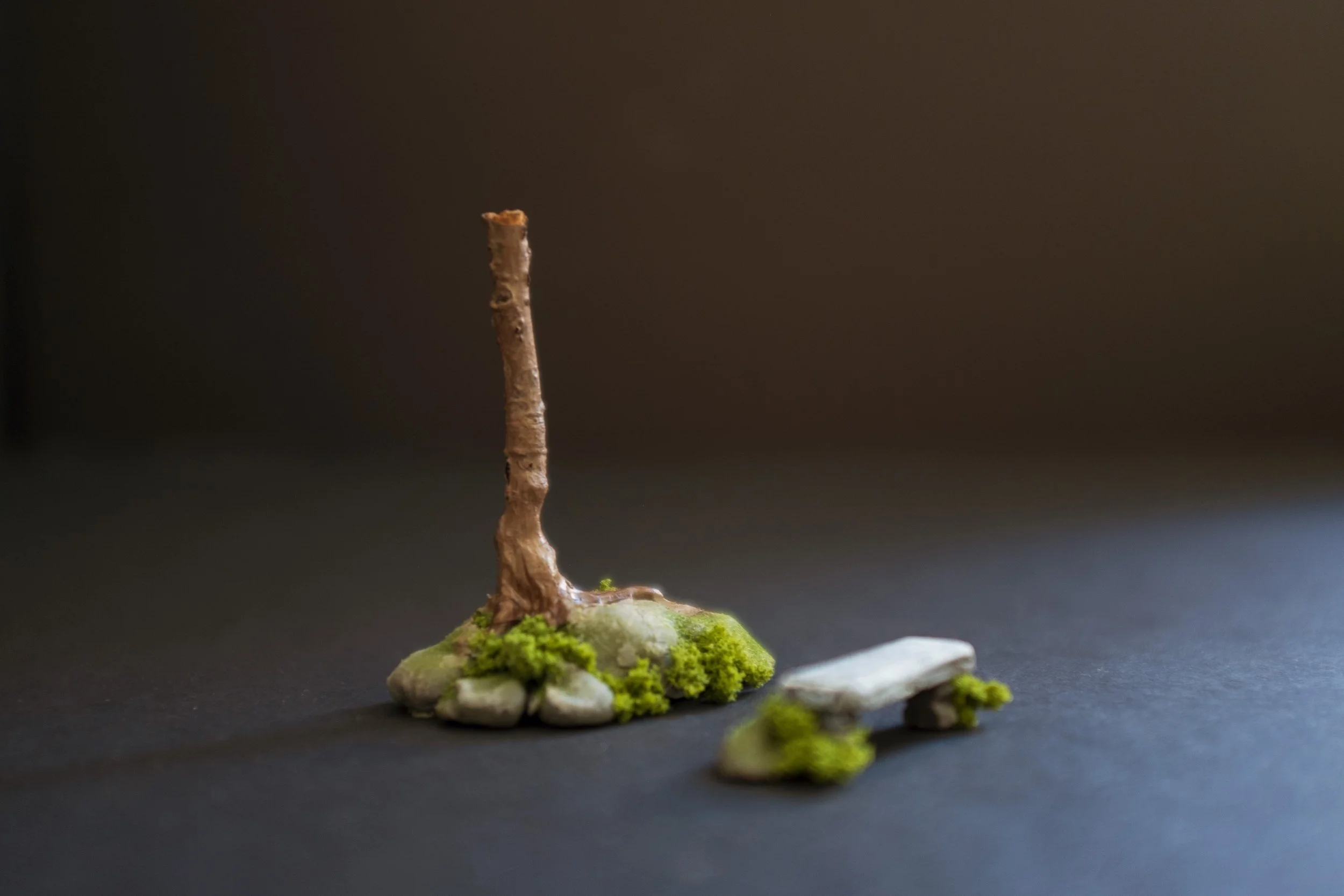  1/4” scale model,  The Rose Elf  