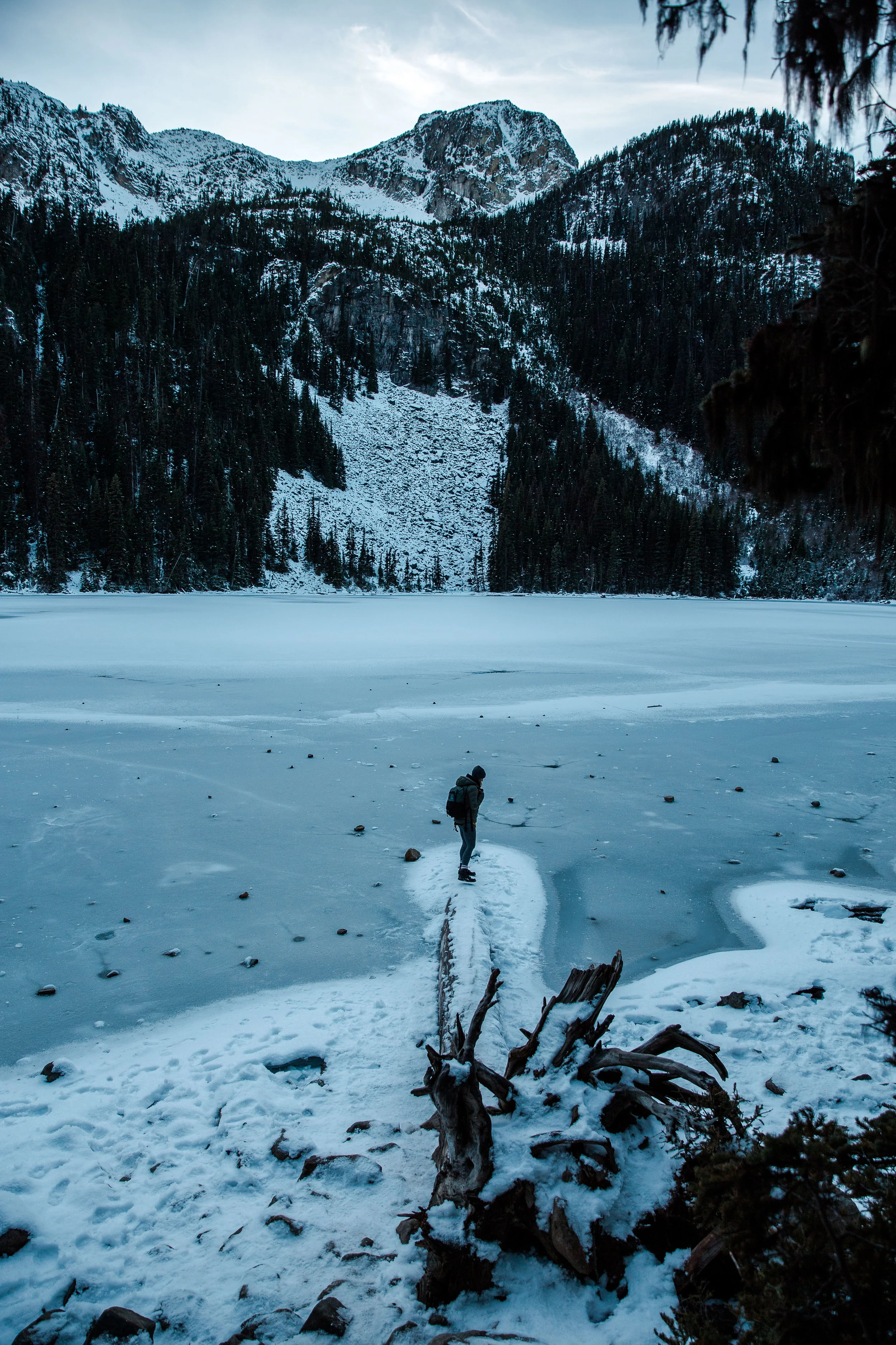 joffre-181118-153125.jpg