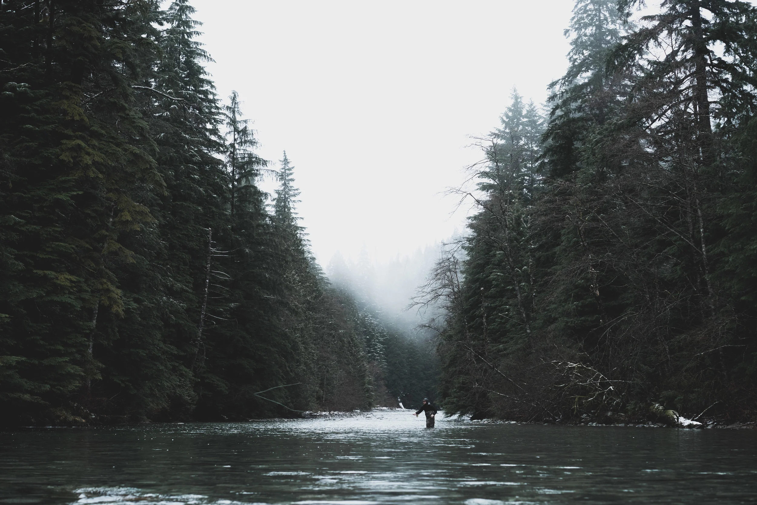 fishing-04615.jpg