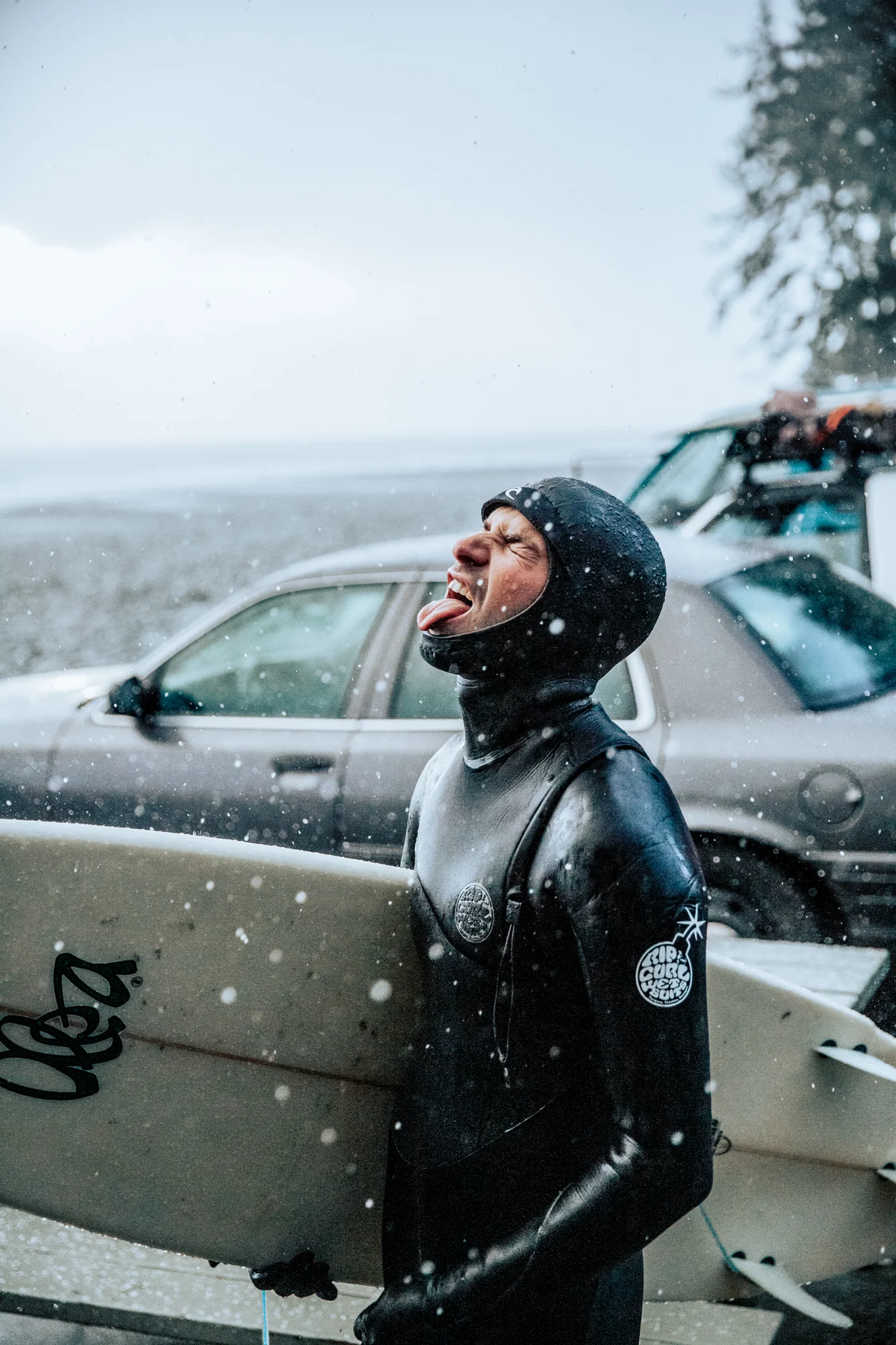 20190119_island_1421.jpg