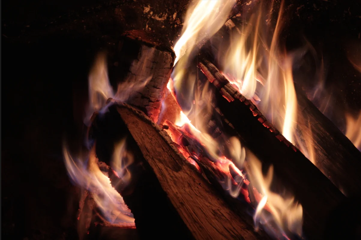 Dining Room 2 fireplace.jpeg
