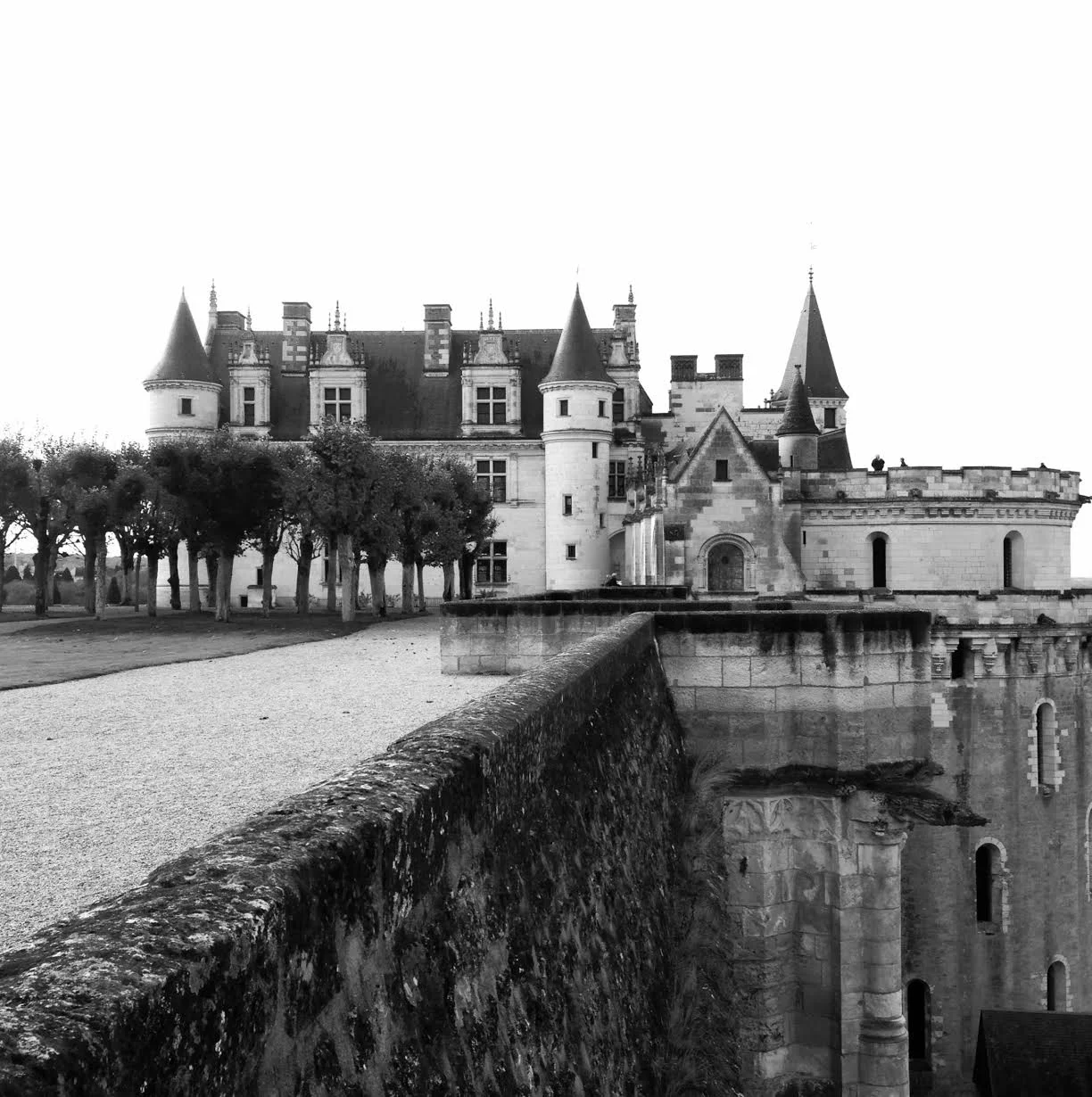 Château Royal d'Amboise