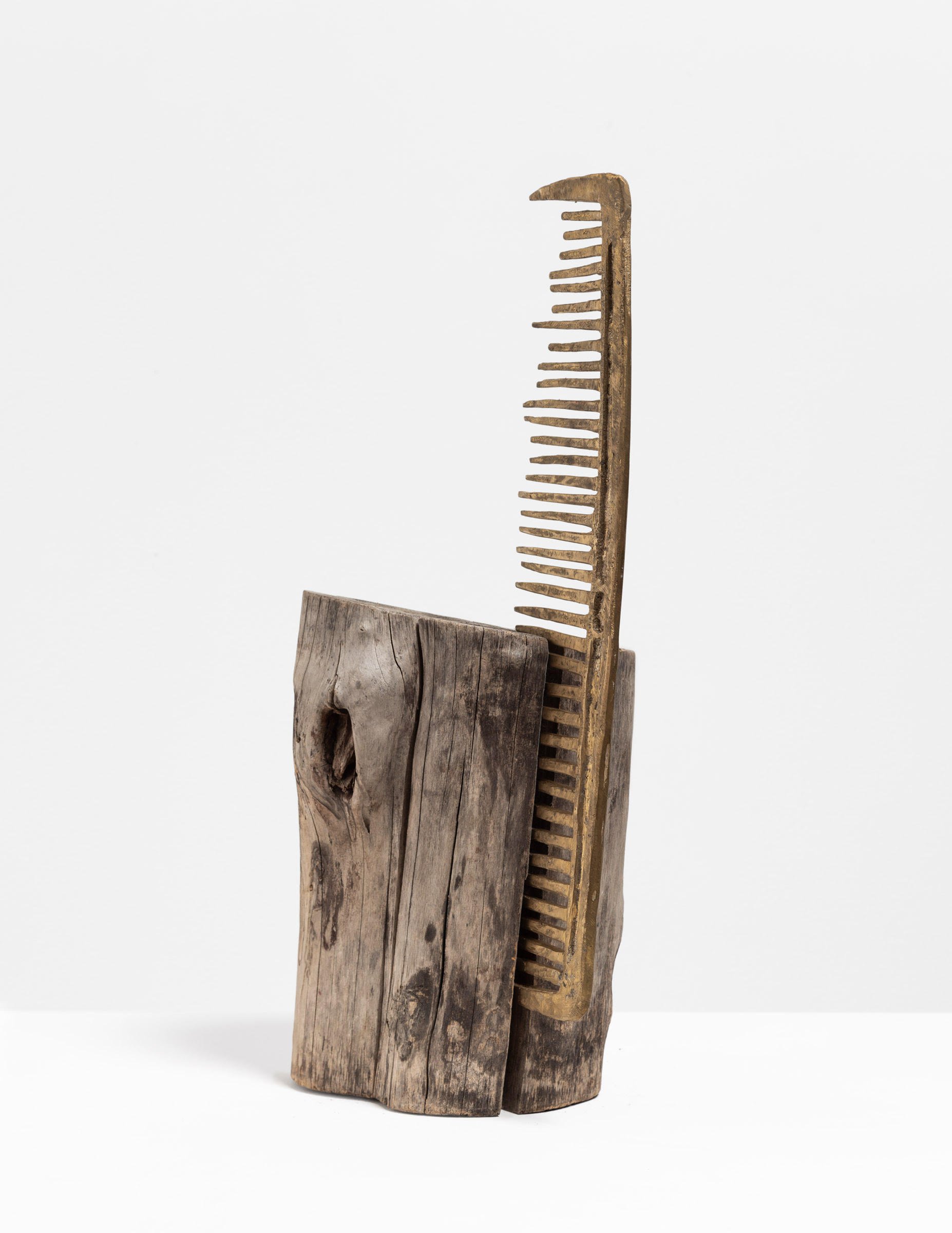  Pith, 2022  Wood, bronze, brass dowel  22 x 11½ x 8 inches 