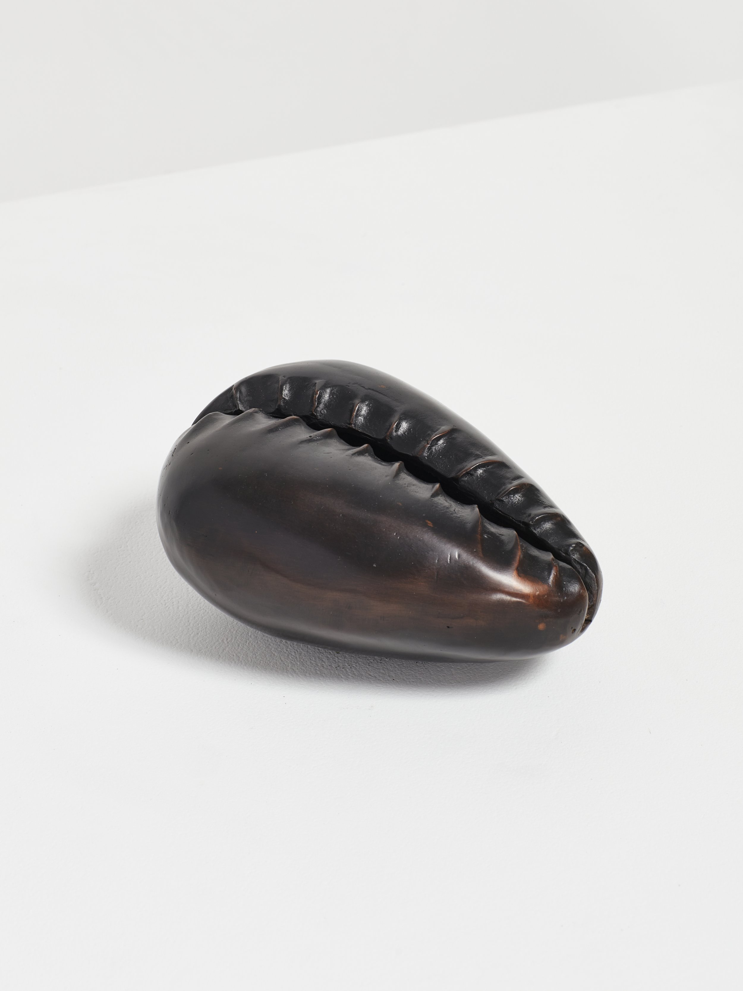 The value of my dreams will not drown me, 2023  Edition of 48 bronze cowrie shells  Variable dimensions 