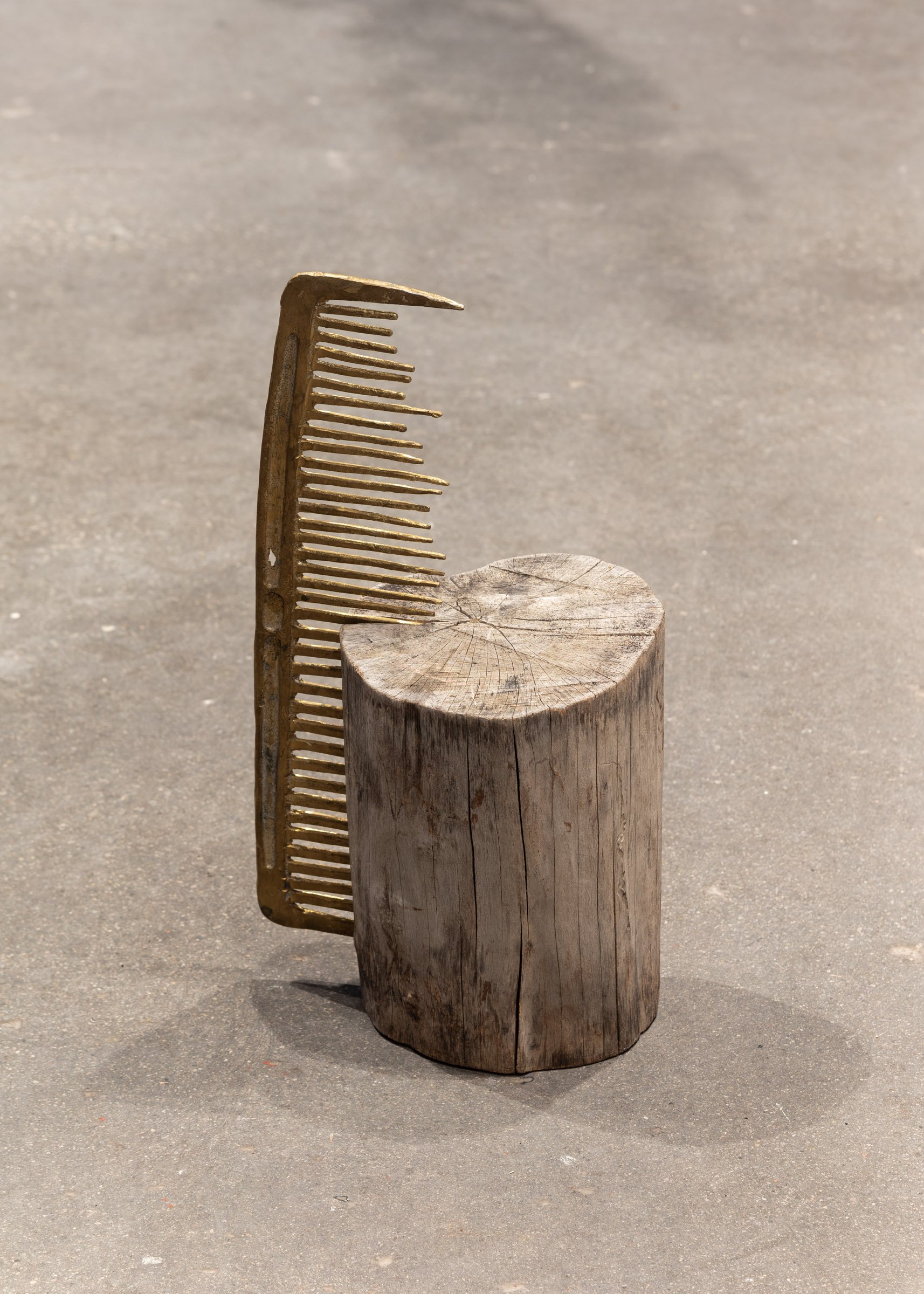  Pith, 2022  Wood, bronze  22 x 11½ x 8 inches 