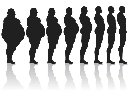 transition-fat_to_thin1.jpeg