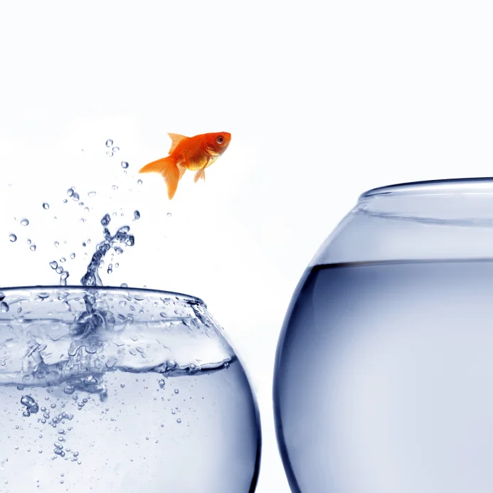 big fish small pond s.jpg
