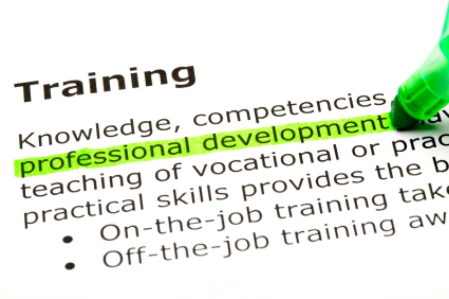 PROFESSIONAL DEVELOPMENT PROGRAMMES