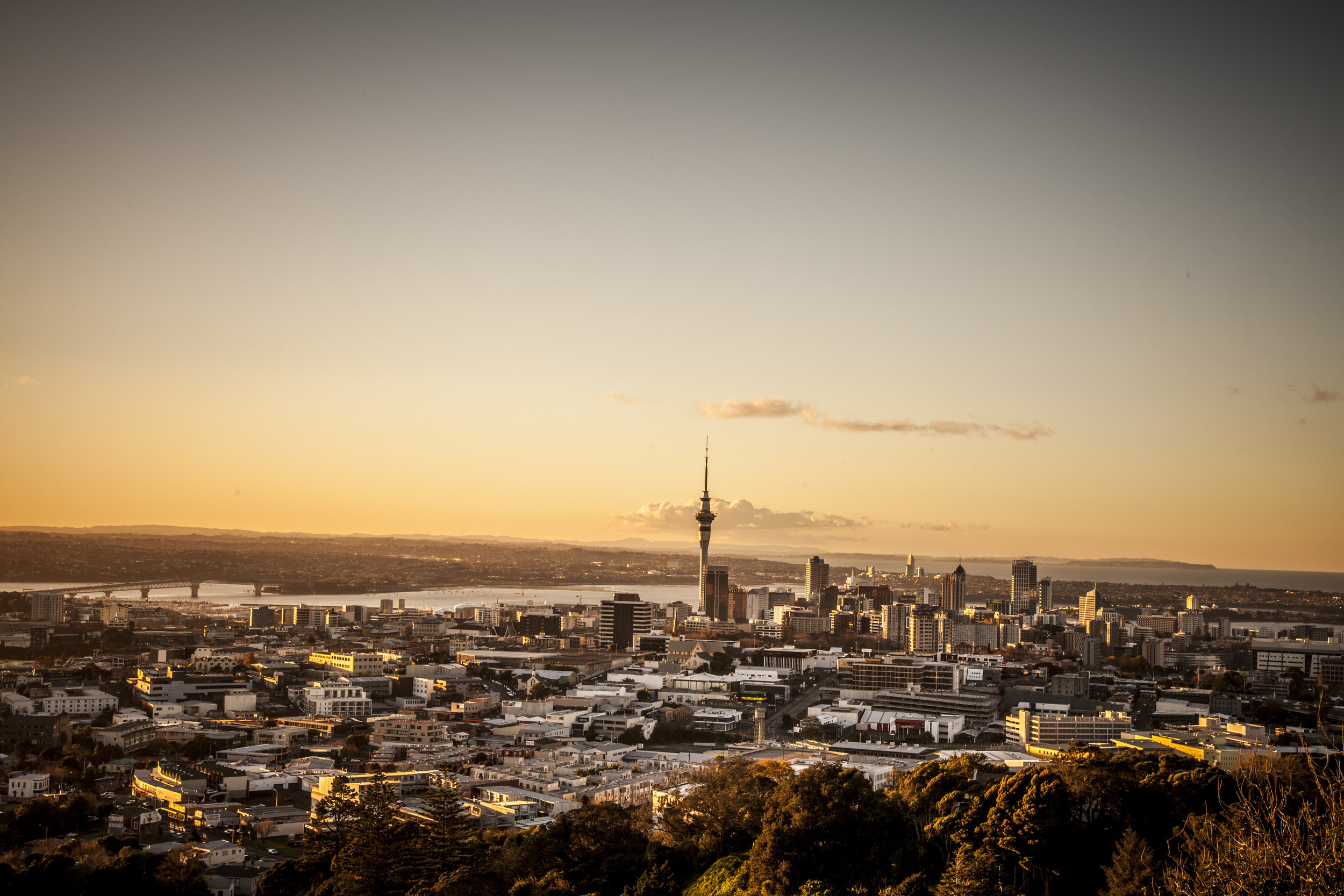 Auckland.jpg