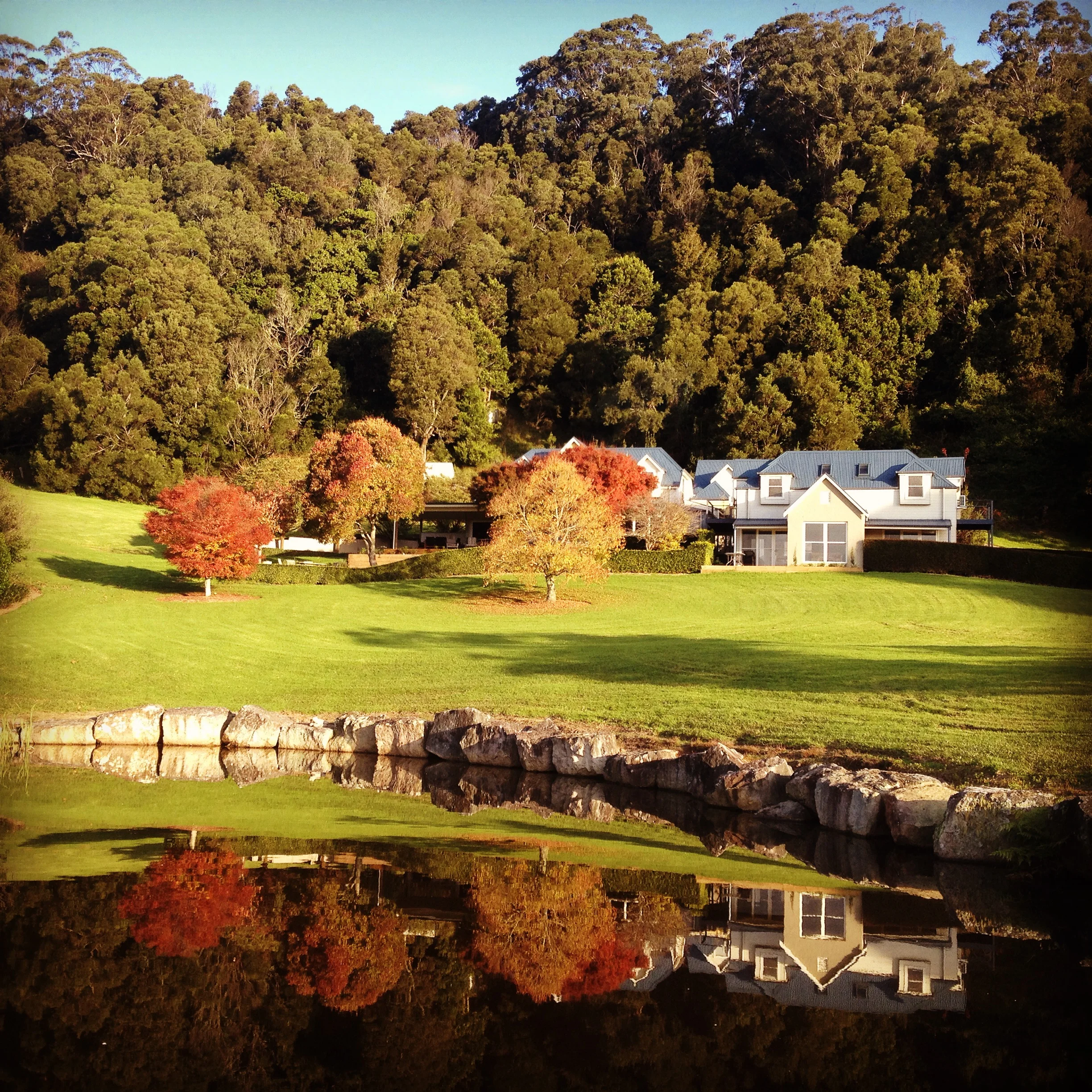 DRB Nestled Peace.JPG