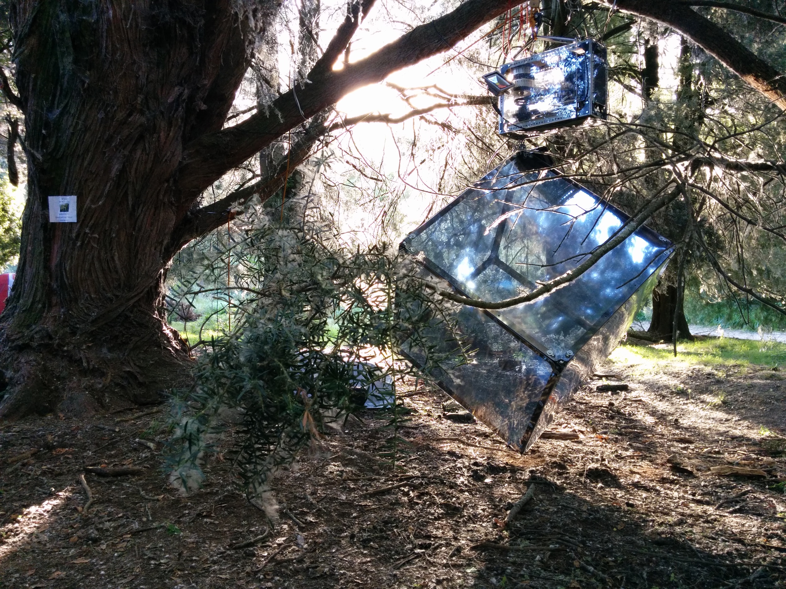 Yashoda with a clear view of 'Iron Man' during daylight at Kiwiburn Festival. Here, the sculpture was adapted to run exclusively on solar power.