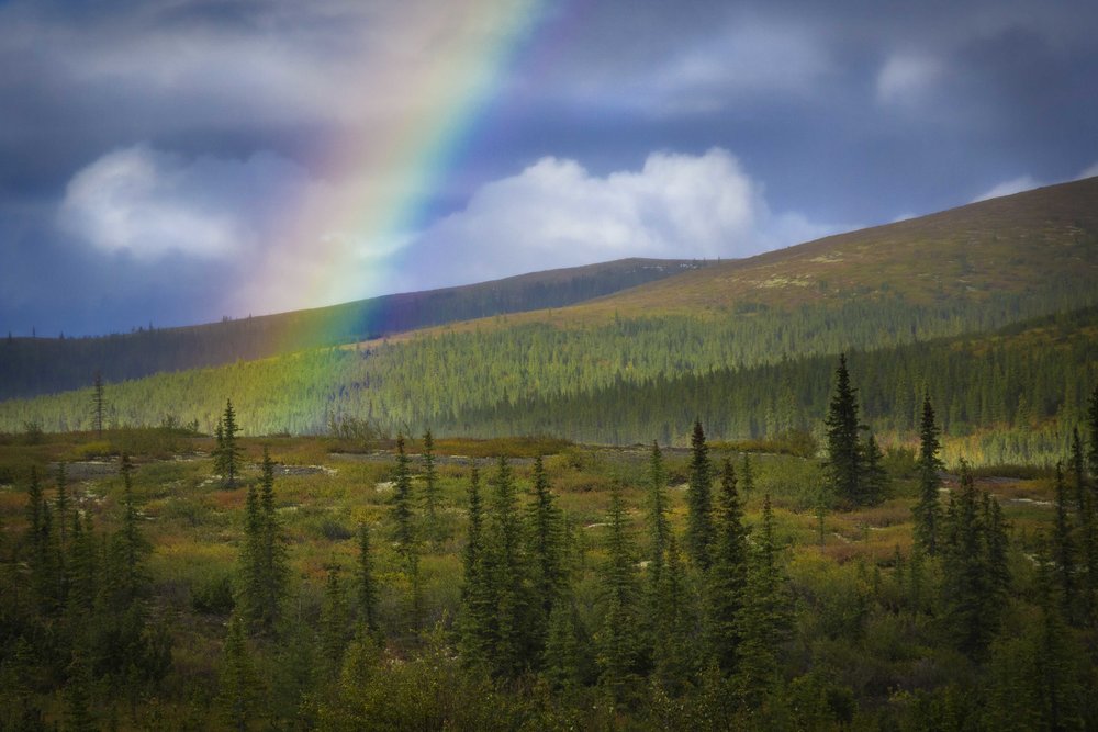  Dempster Highway, Roadtrip, Landscape, Arctic, rob gubiani, Tundra, Tombstone, Tuktoyuktuk, Inuvik, Dempster, Yukon, travel, wanderlust, boreal, forest, boreal forest, fall, autumn, rainbow, 