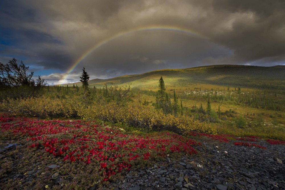  Dempster Highway, Roadtrip, Landscape, Arctic, rob gubiani, Tundra, Tombstone, Tuktoyuktuk, Inuvik, Dempster, Yukon, travel, wanderlust, rainbow 