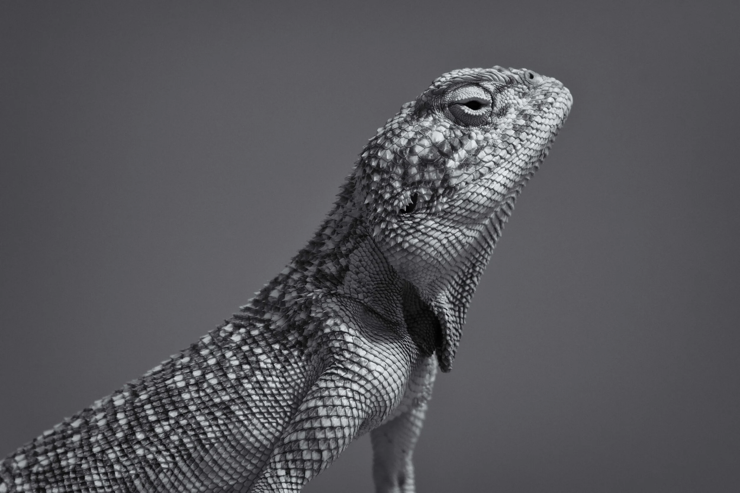 CP8A6589-Edit-2.jpg