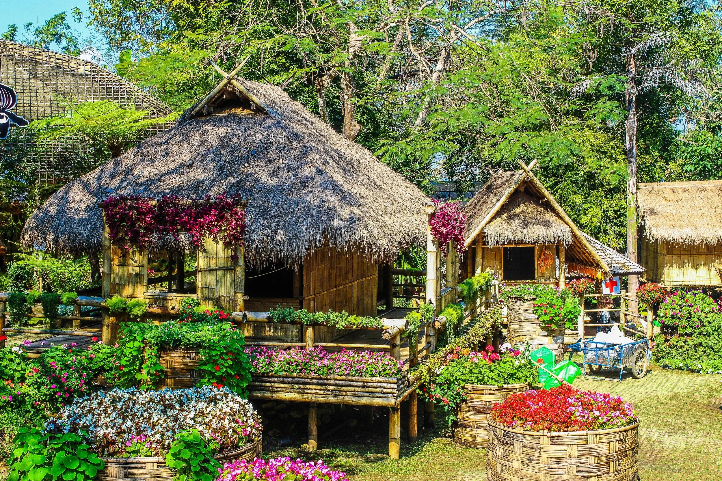 bloom-blooming-blossom-733200.jpg