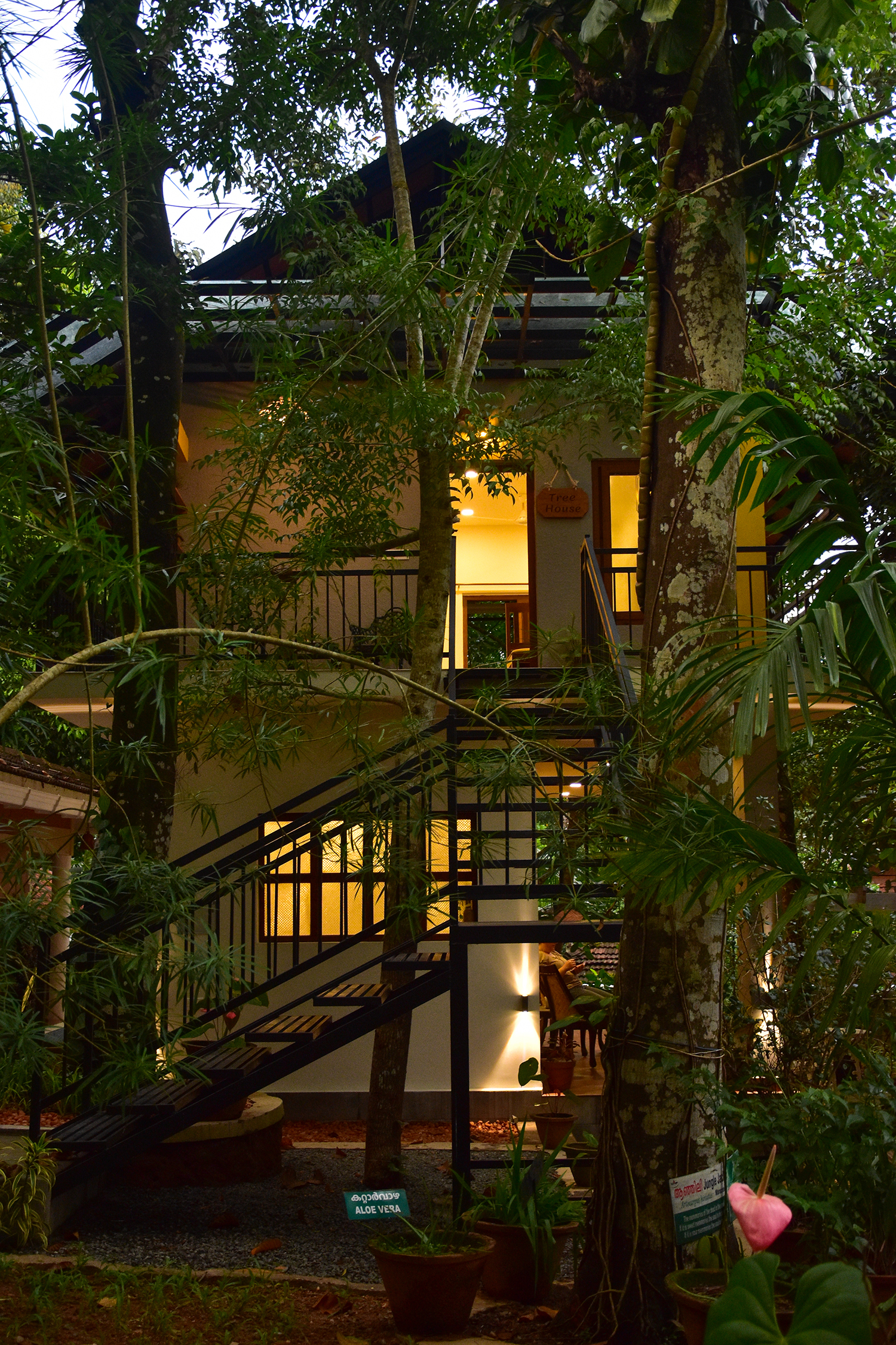 library_treehouse (11).jpg