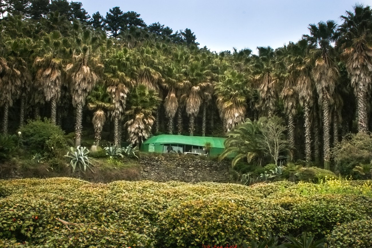 01-제주_2010.0327.jpg