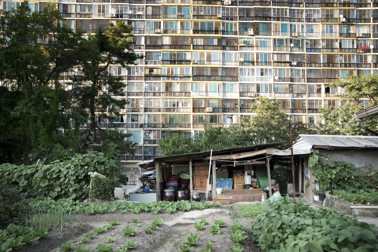 08-정릉_2012.0923.jpg