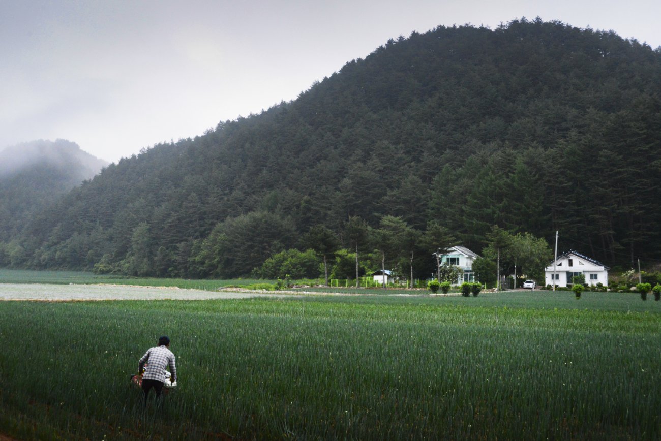 21-오대산가는길_(2014.0614).jpg