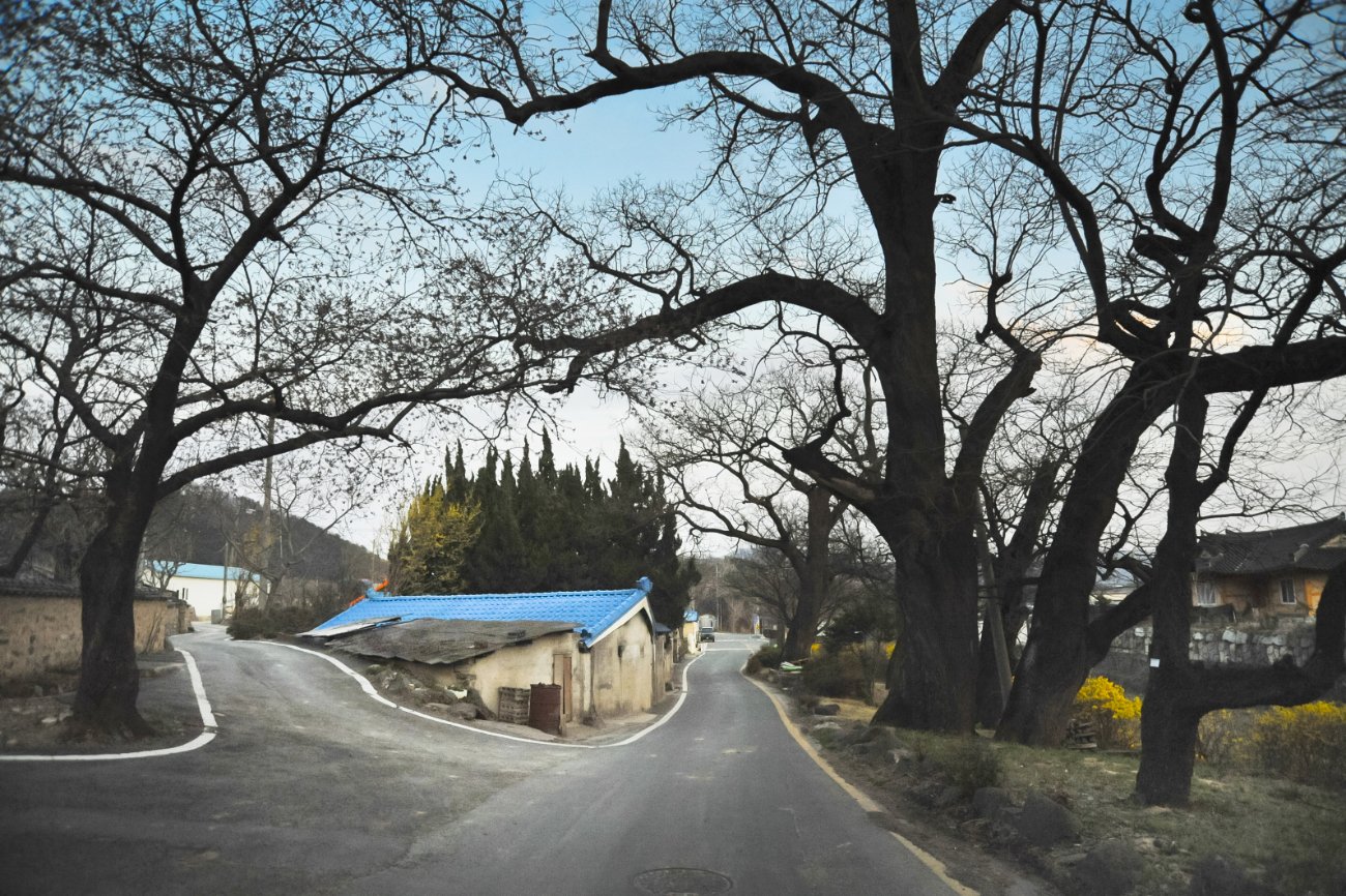 22-경주 독락당가는길2012.0408.jpg