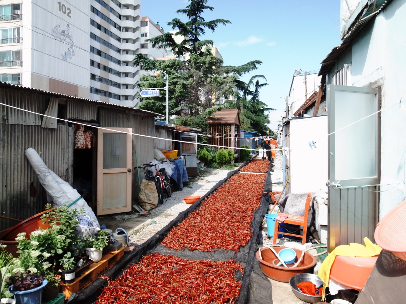 30-군산경암동철길마을_2012.0817.jpg