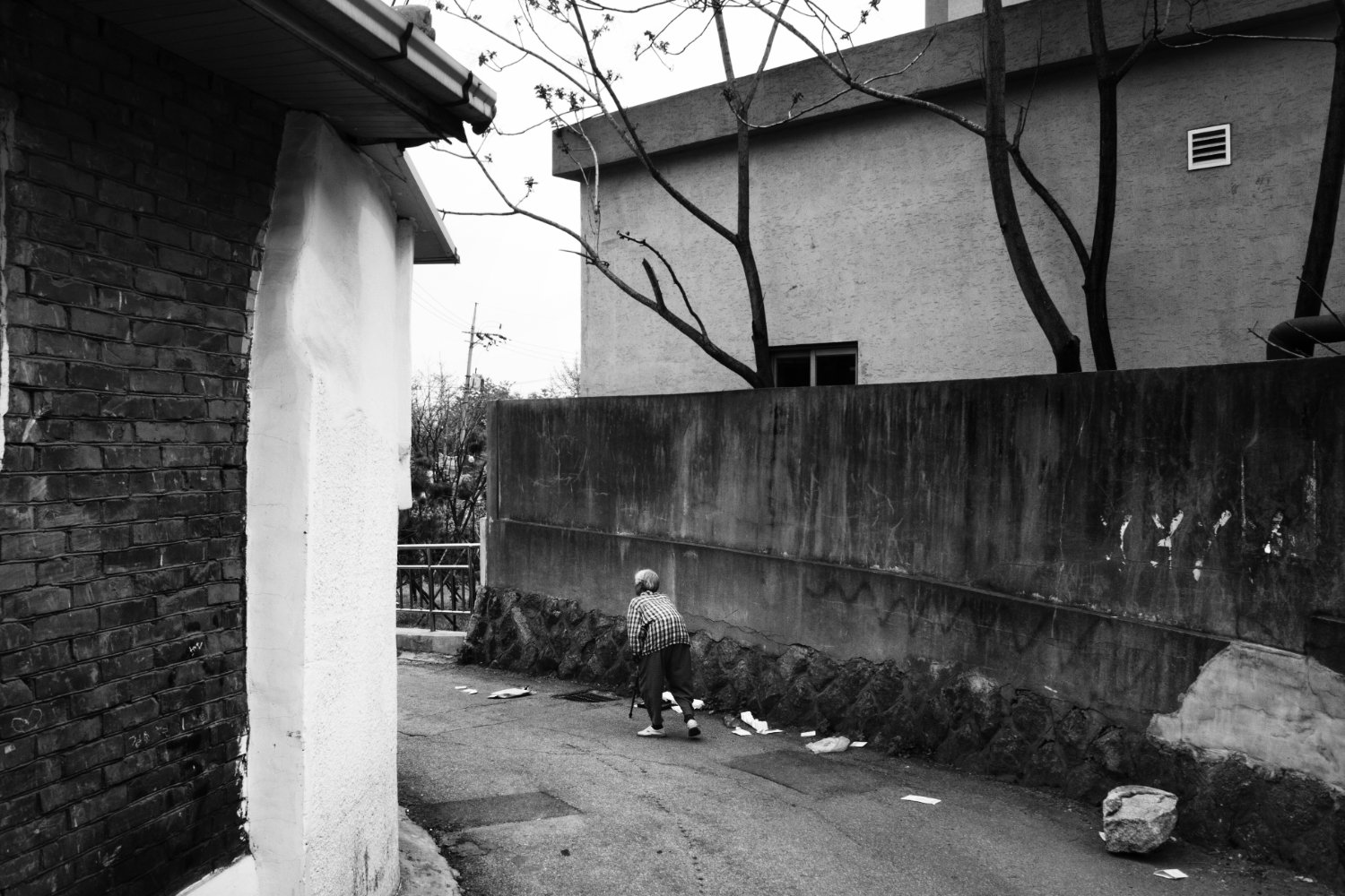 66-정릉2010.0505.jpg