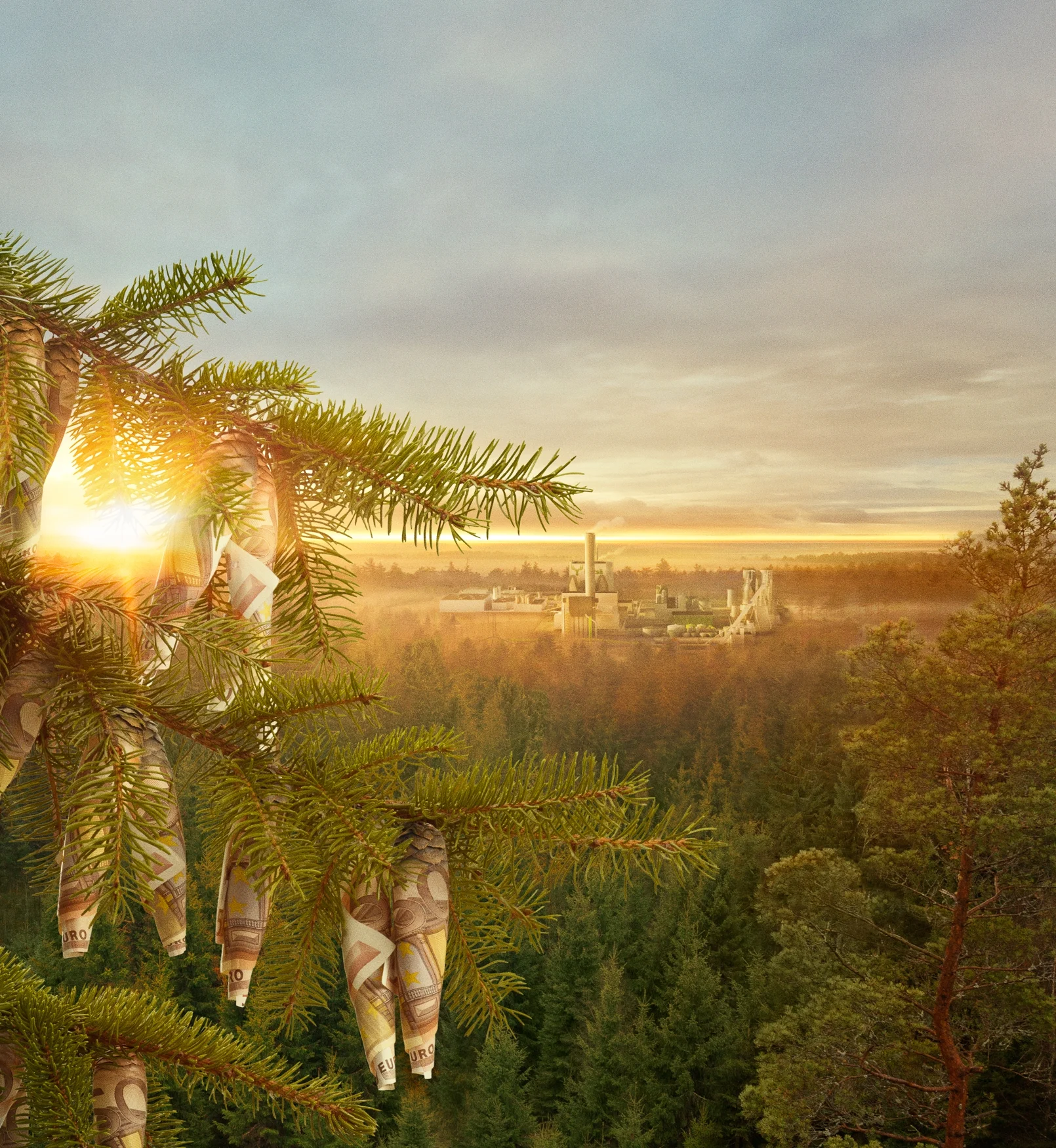 Agency: IVALO | Client: Metsä Group