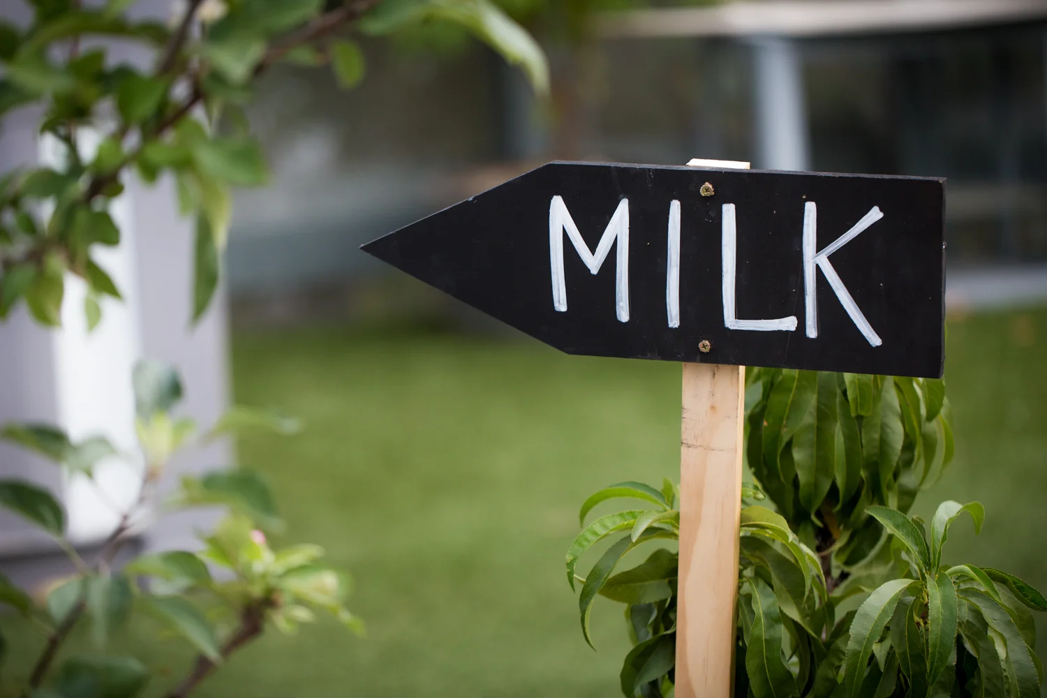 THE AUSTRALIAN GRAND DAIRY AWARDS 04-02-2016-38.jpg