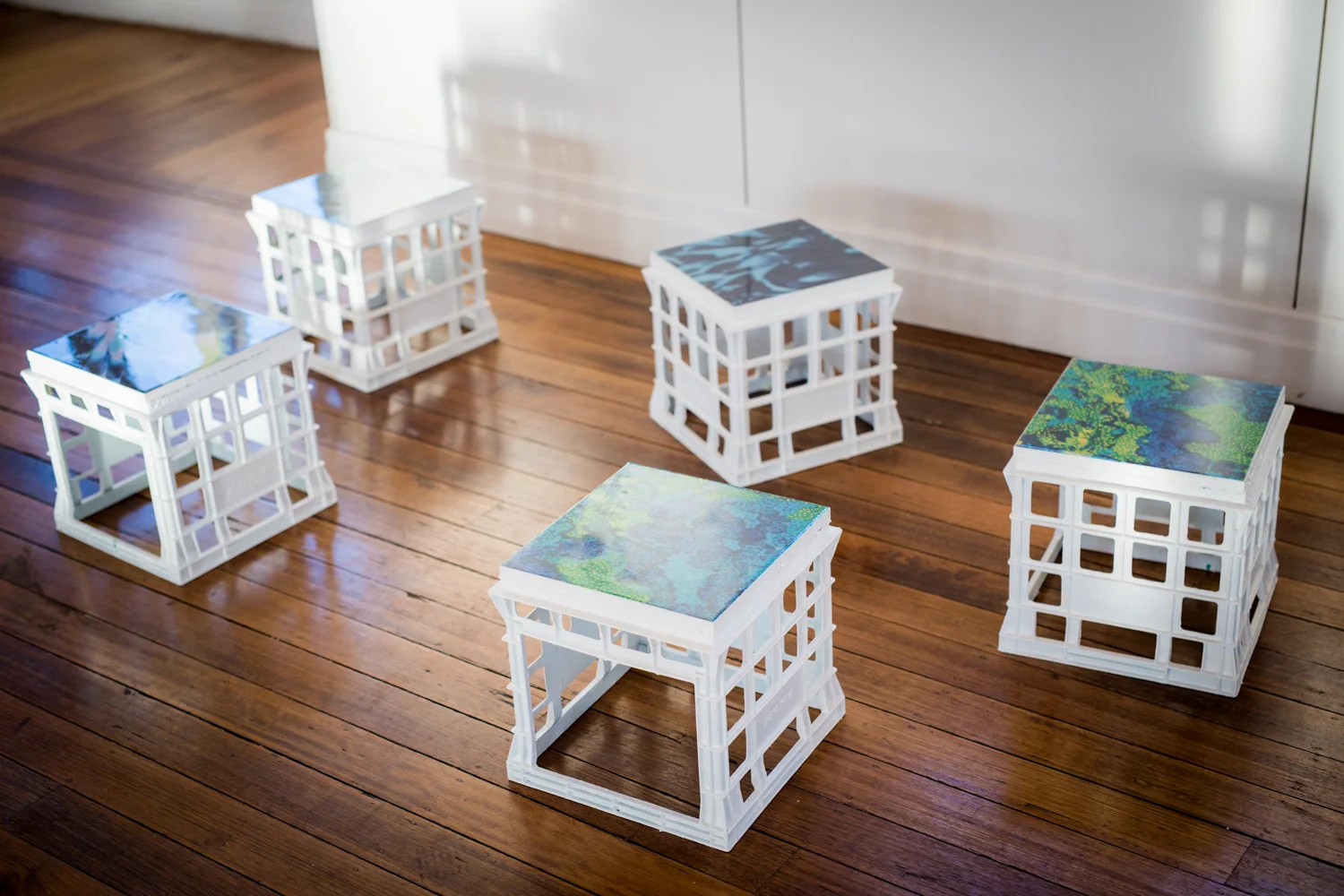 Sea Change Art Even Many Hands x Fight For The Reef-13.jpg