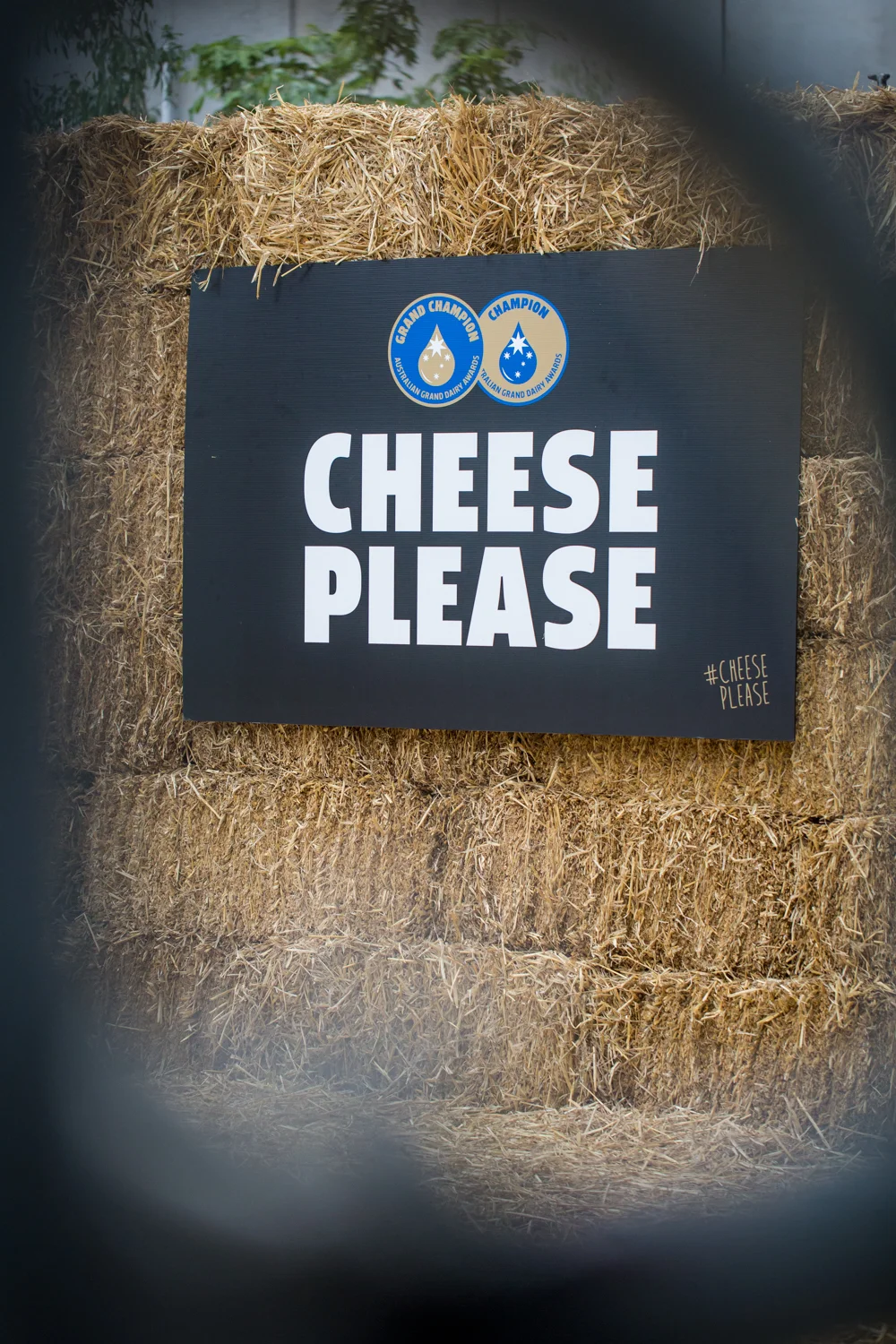 Cheese Please Festival-24.jpg