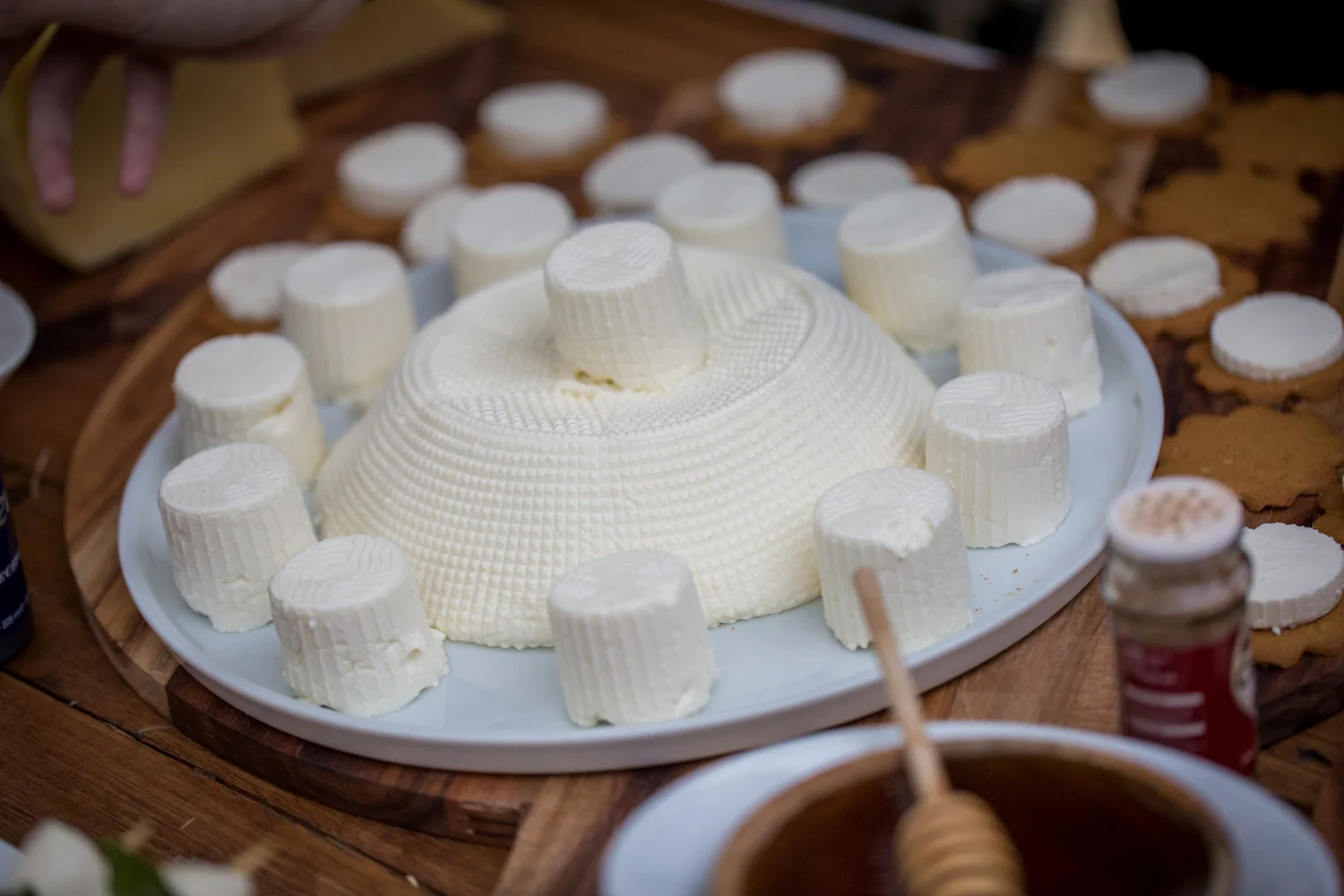 Cheese Please Festival-39.jpg