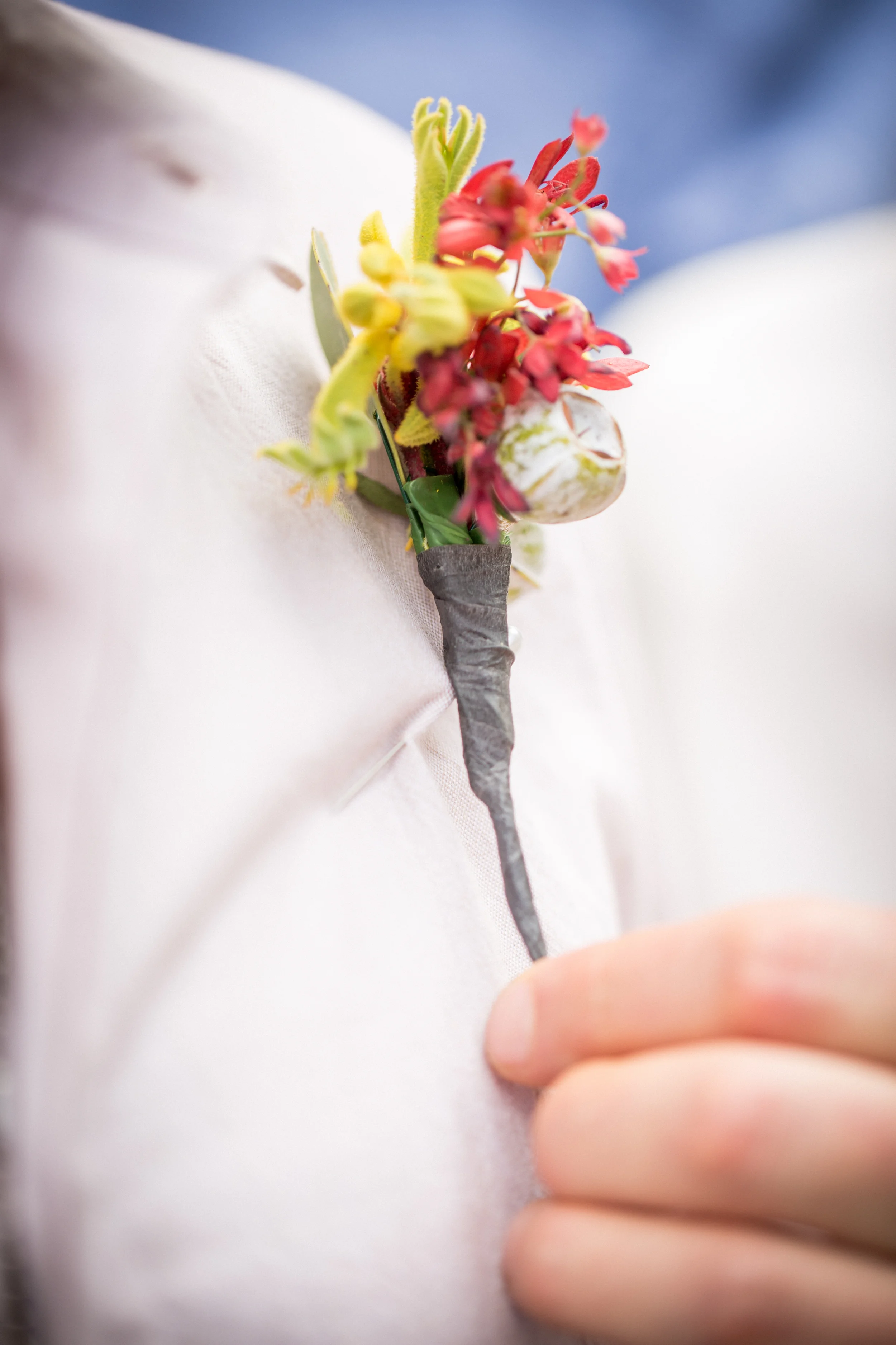 ELLI + TOM-16.jpg