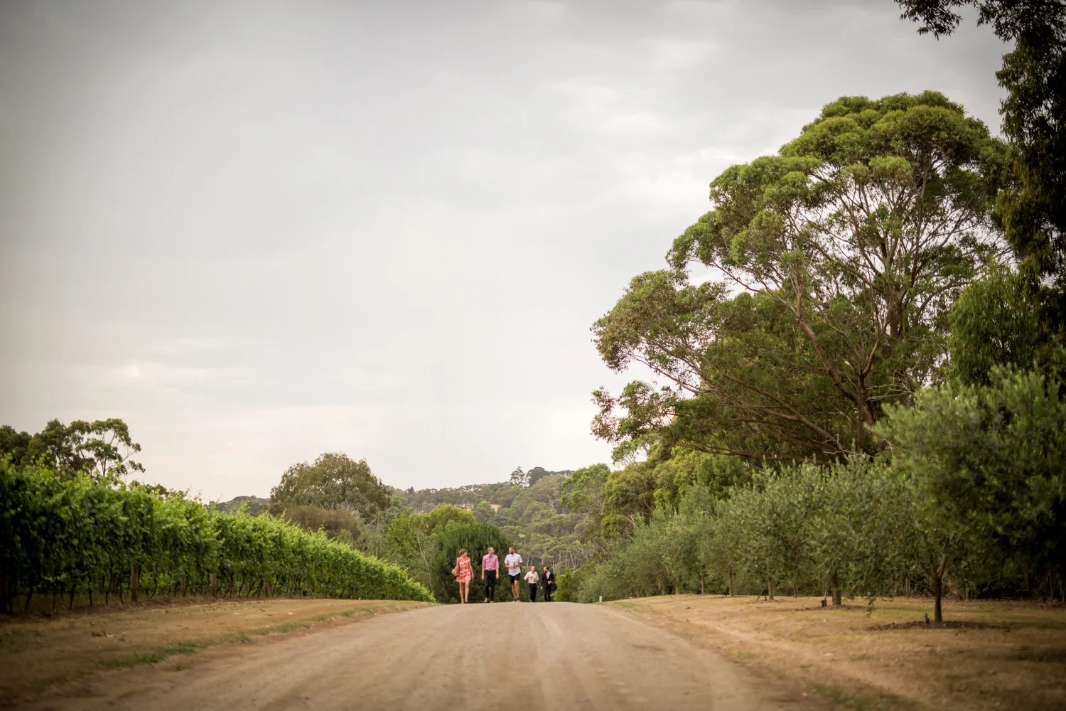 ELLI + TOM -118.jpg