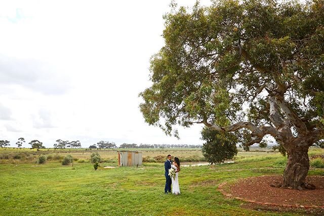 REINETTE + LEEROY
&bull;
&bull;
&bull;
&bull;
#Melbournewedding #melbourneweddingphotographer #melbourne #weddingphotographer #realwedding #documentaryphotography
#weddings #weddingday #weddingphotography #bride #weddinginspiration #weddingdress #wed