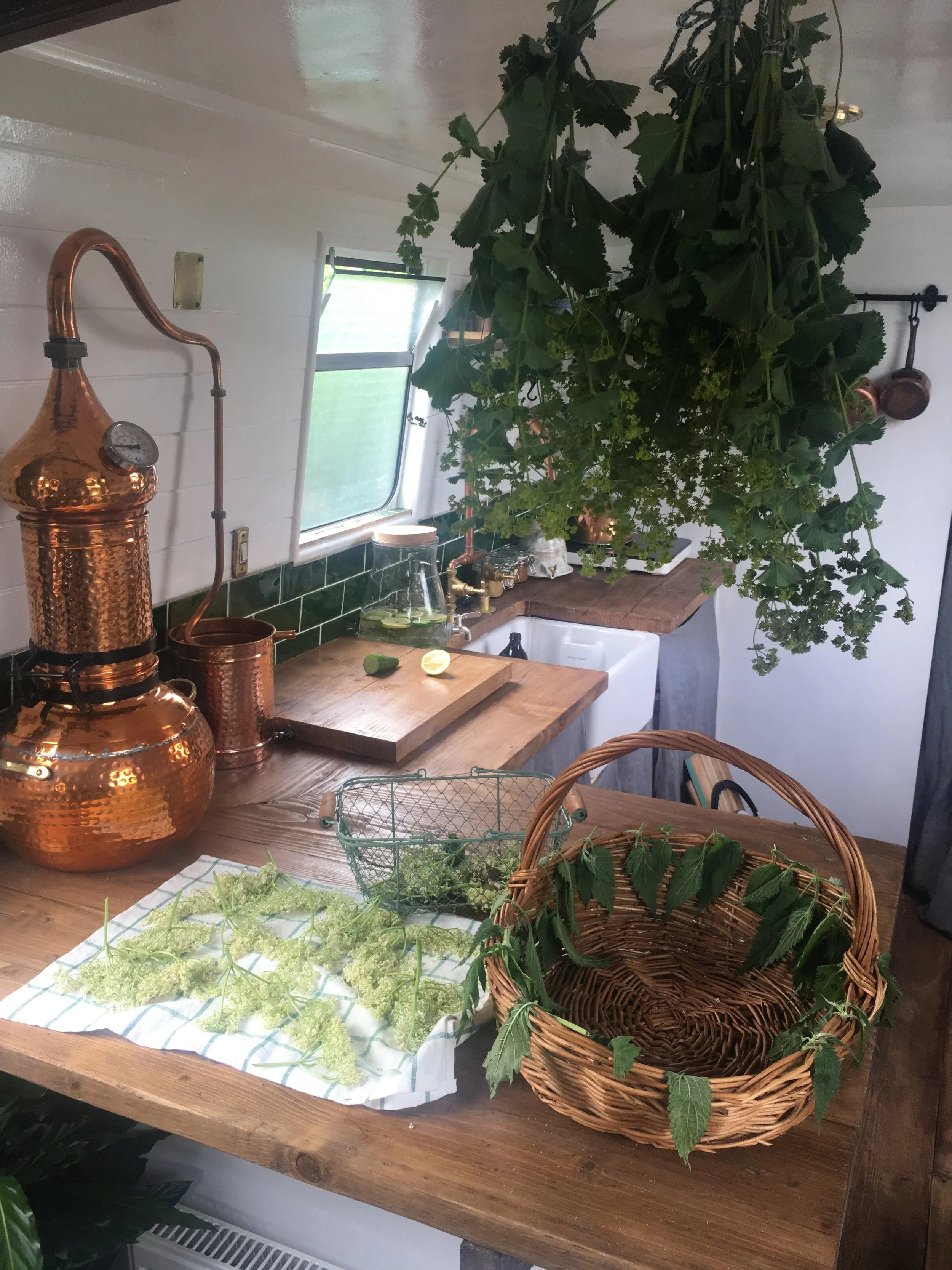 Traditional copper alembic on the left*