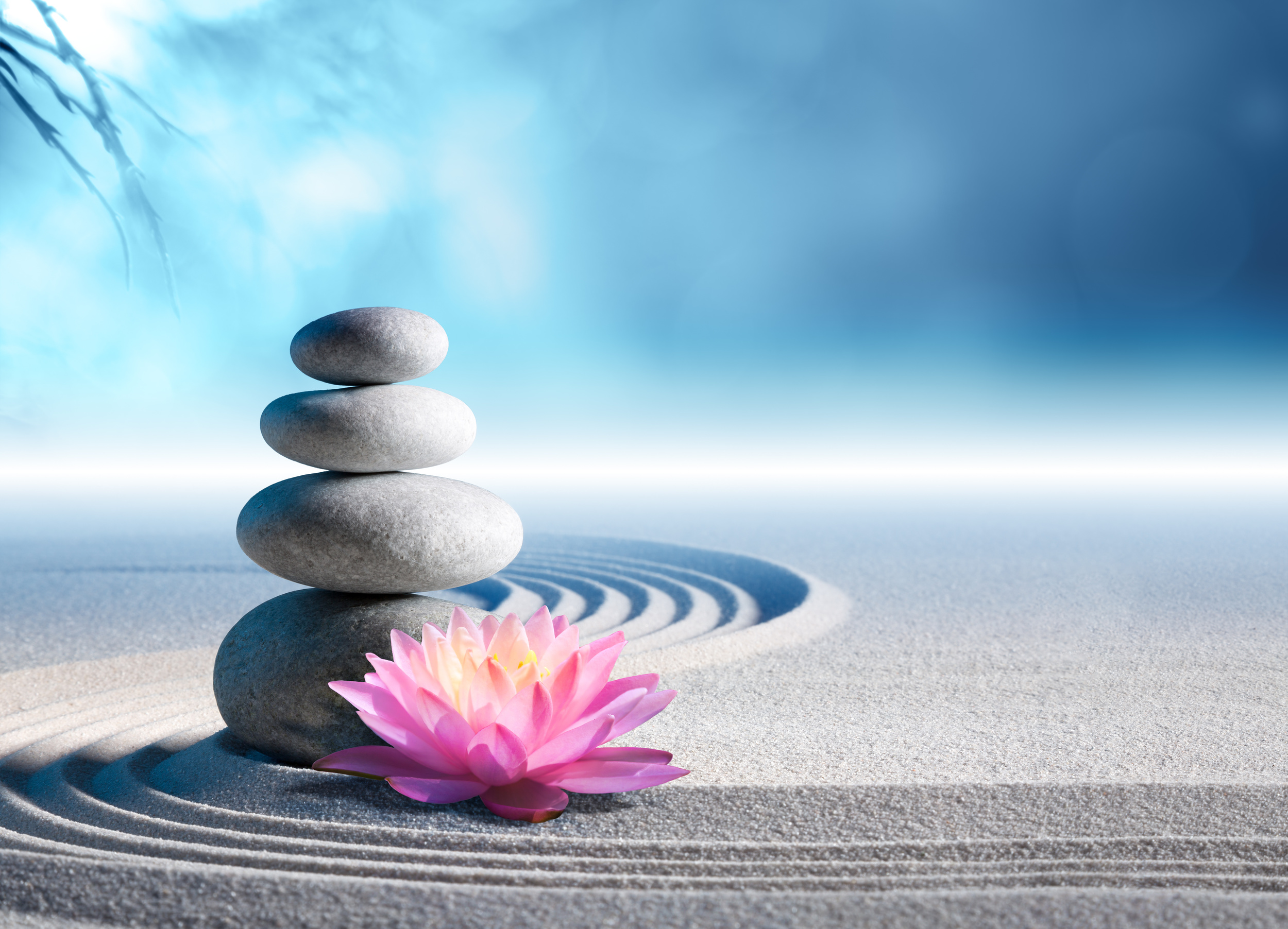 Siobhan's classes are held in Gorey and other locations in county Wicklow and Wexford