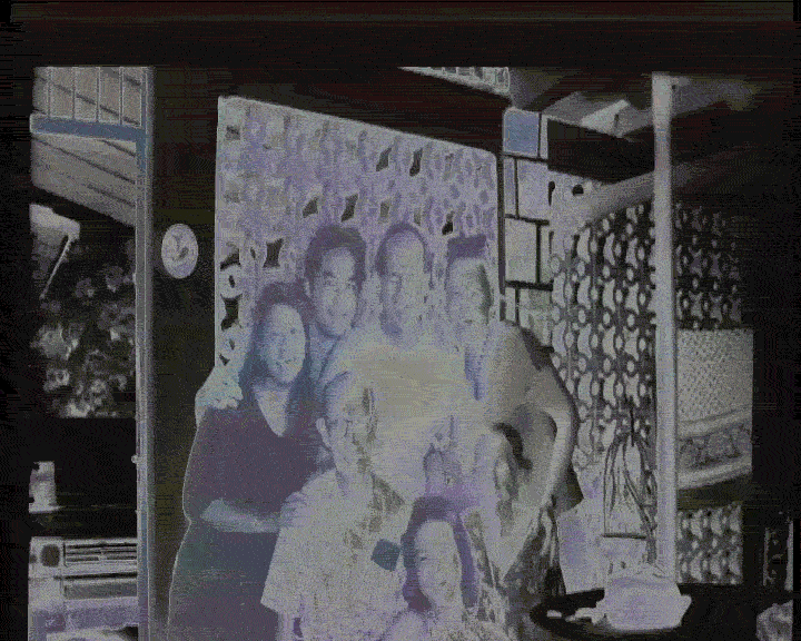 fotos.gif