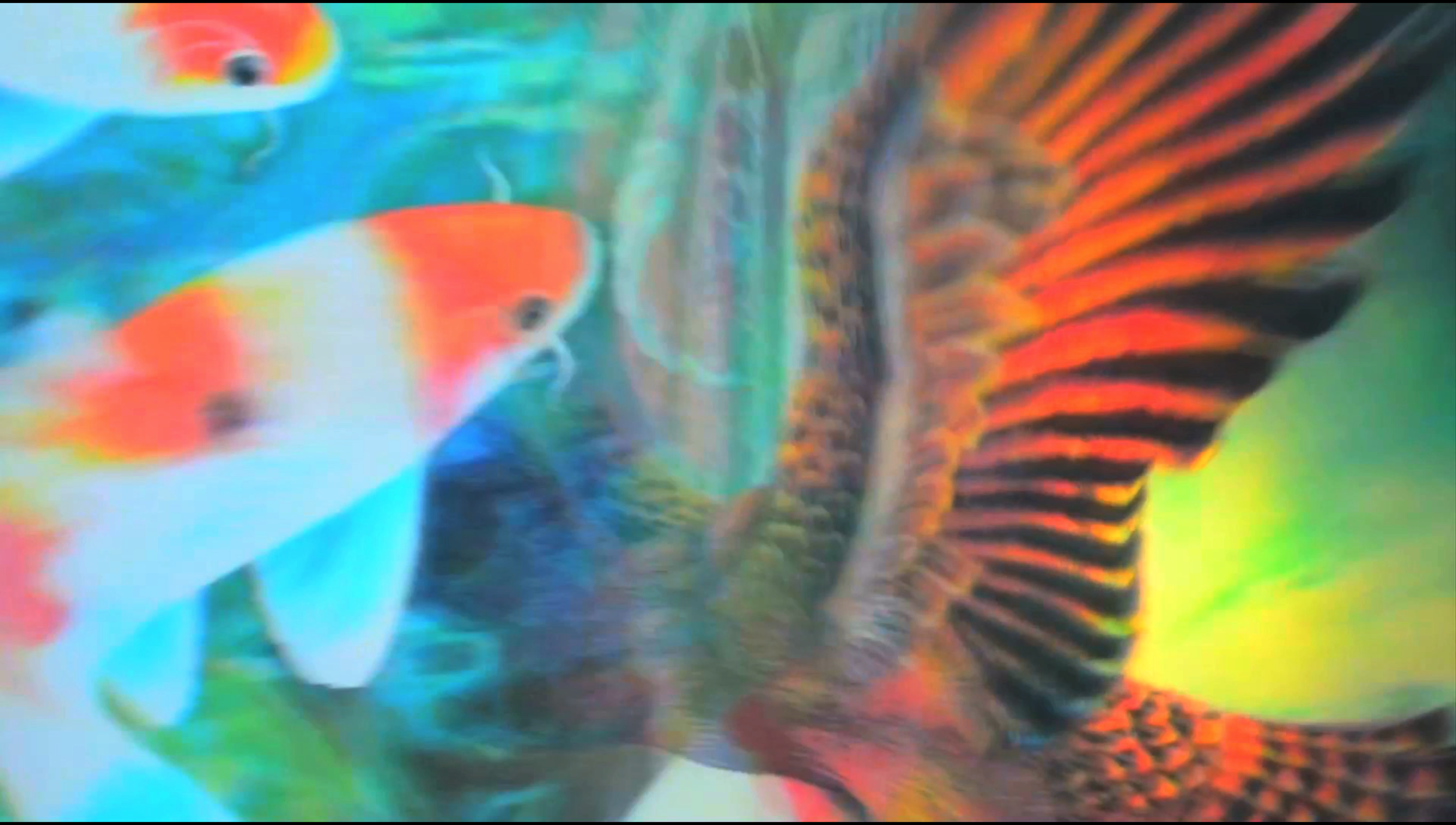 Screenshot 2014-10-11 23.25.19.png